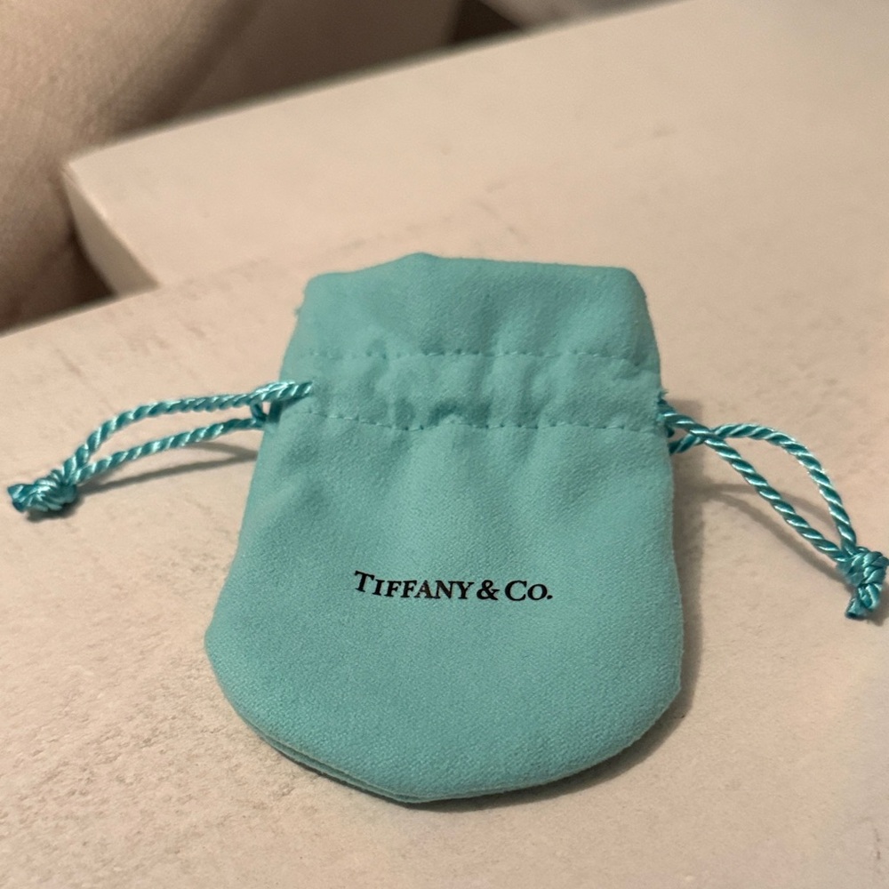 Tiffany & Co. Turquoise Jewelry Pouch - Picture 2 of 4
